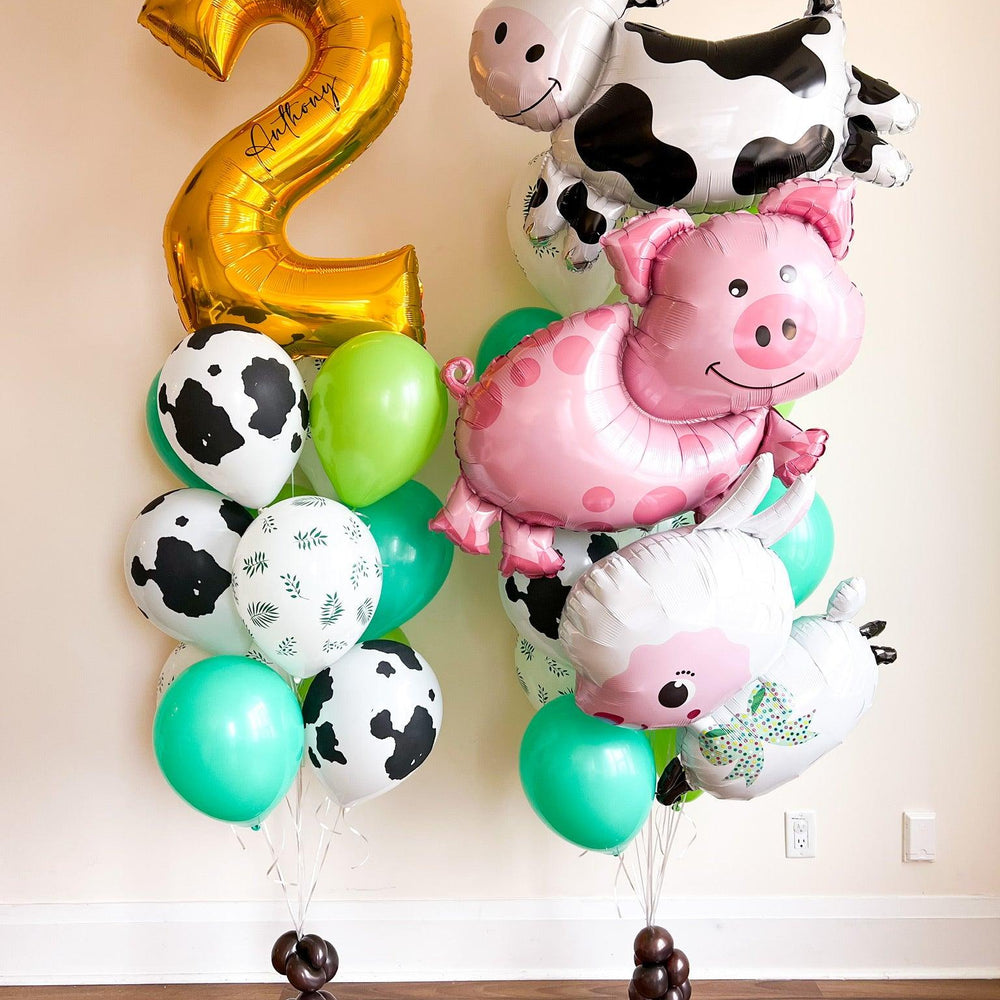 Custom Farm Set - Medium & Fun Balloon Decor for Toronto Events - My Blush Peony